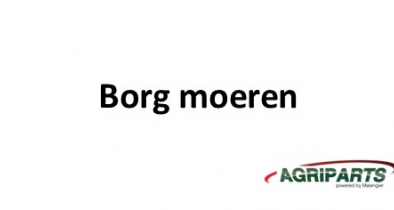 Borg moeren